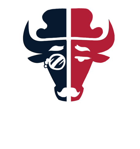 Houston Texans British Gentleman Logo iron on transfers
